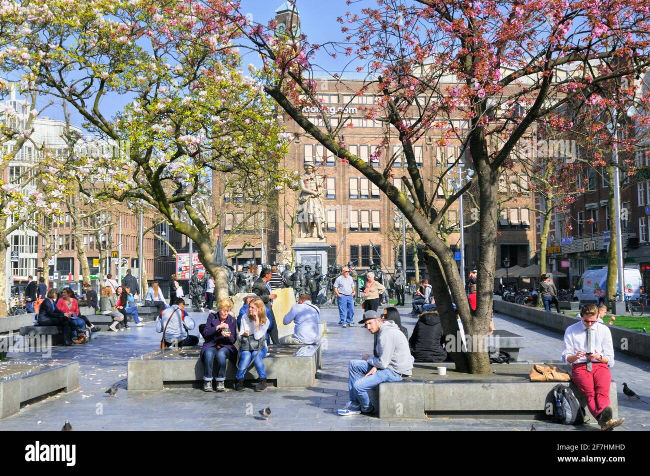 Persone che si rilassano in primavera sotto alberi di fiori in Rembrandt Square (Rembrandtplein), Amsterdam, Olanda del Nord, Paesi Bassi, Europa Foto Stock