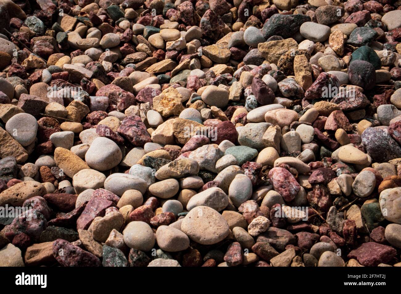 Pietre colorate, sole primaverile e una passeggiata nel parco Foto Stock
