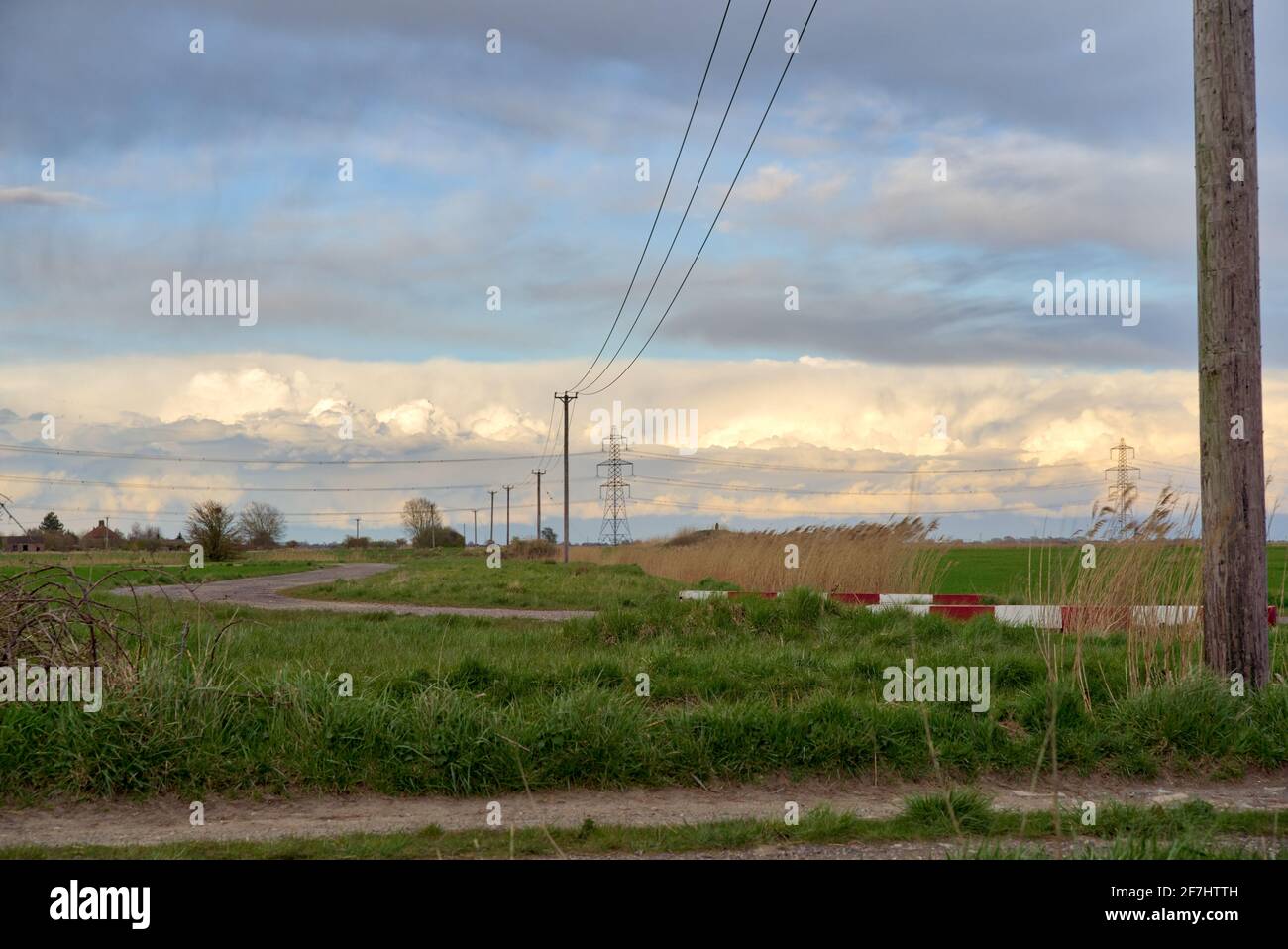 linee elettriche tradizionali su pali in legno Foto Stock
