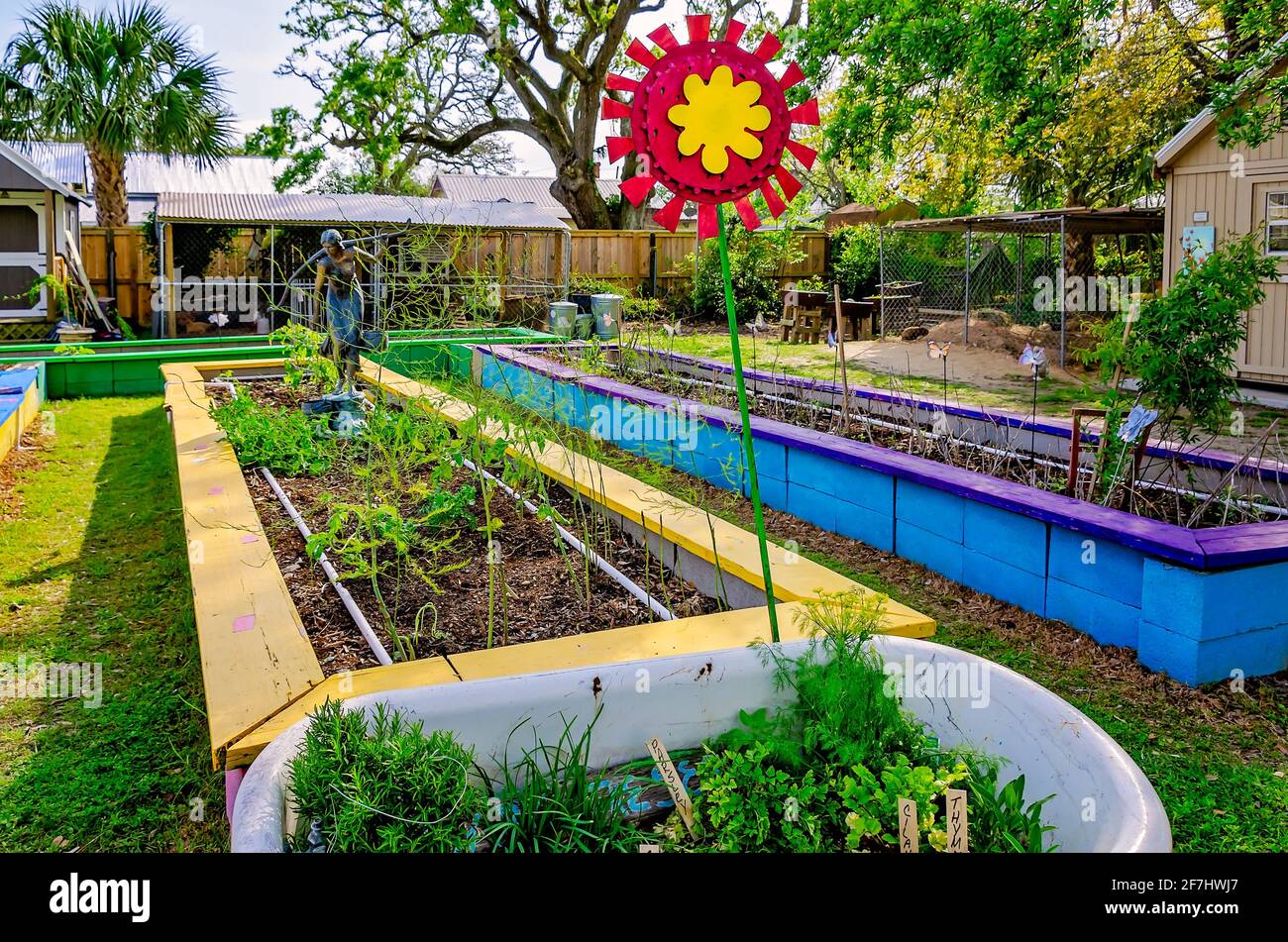 Le verdure crescono in letti da giardino rialzati o tavoli da insalata alle radici di Ruth, 3 aprile 2021, a Bay Saint Louis, Mississippi. Foto Stock