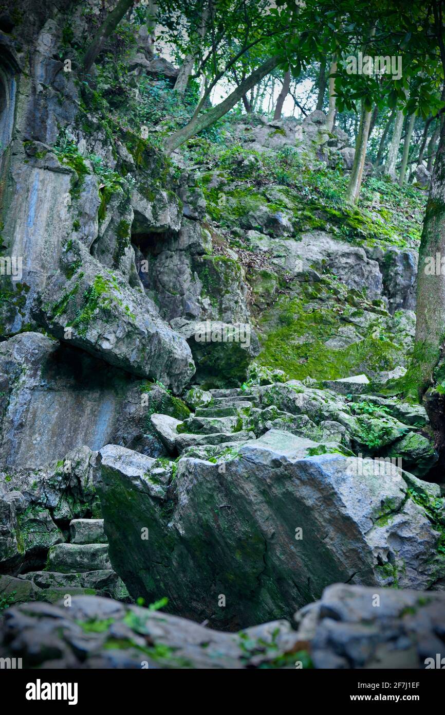 Scalini di pietra stretti in boschi con enormi rocce e un sacco di alberi. Foto Stock