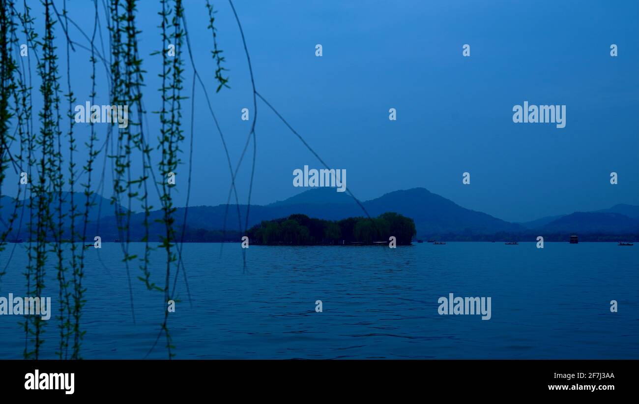 Salice affogante con foglie verdi vicino al lago con piccola isola lontana durante la notte. Foto Stock