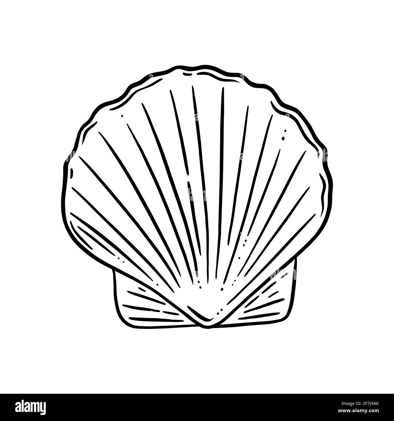 Logo della conchiglia del cuoio capelluto. Condimenti con una perla o pronti per cucinare. Illustrazione vettoriale isolata su sfondo bianco Illustrazione Vettoriale