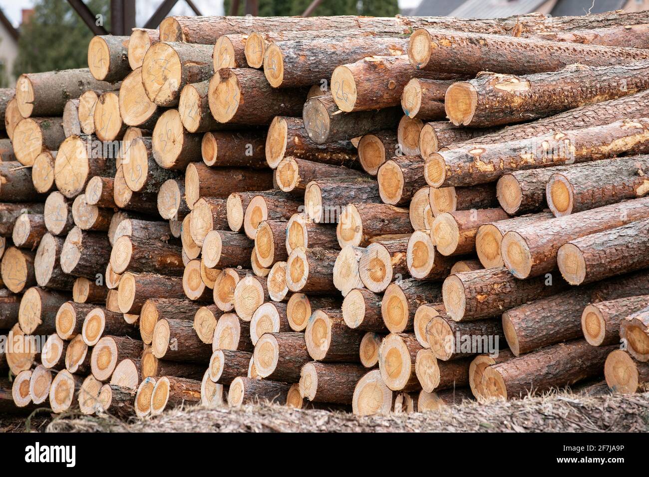 Stack di log. Produzione di legname, trasporto e consegna. Foto Stock
