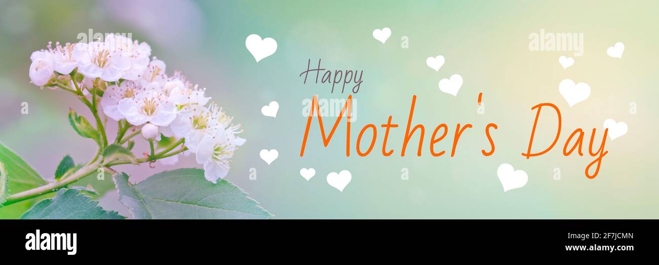 Congratulazioni, buona festa della mamma! Colori morbidi ed eleganti. Splendido concetto presente. Foto Stock
