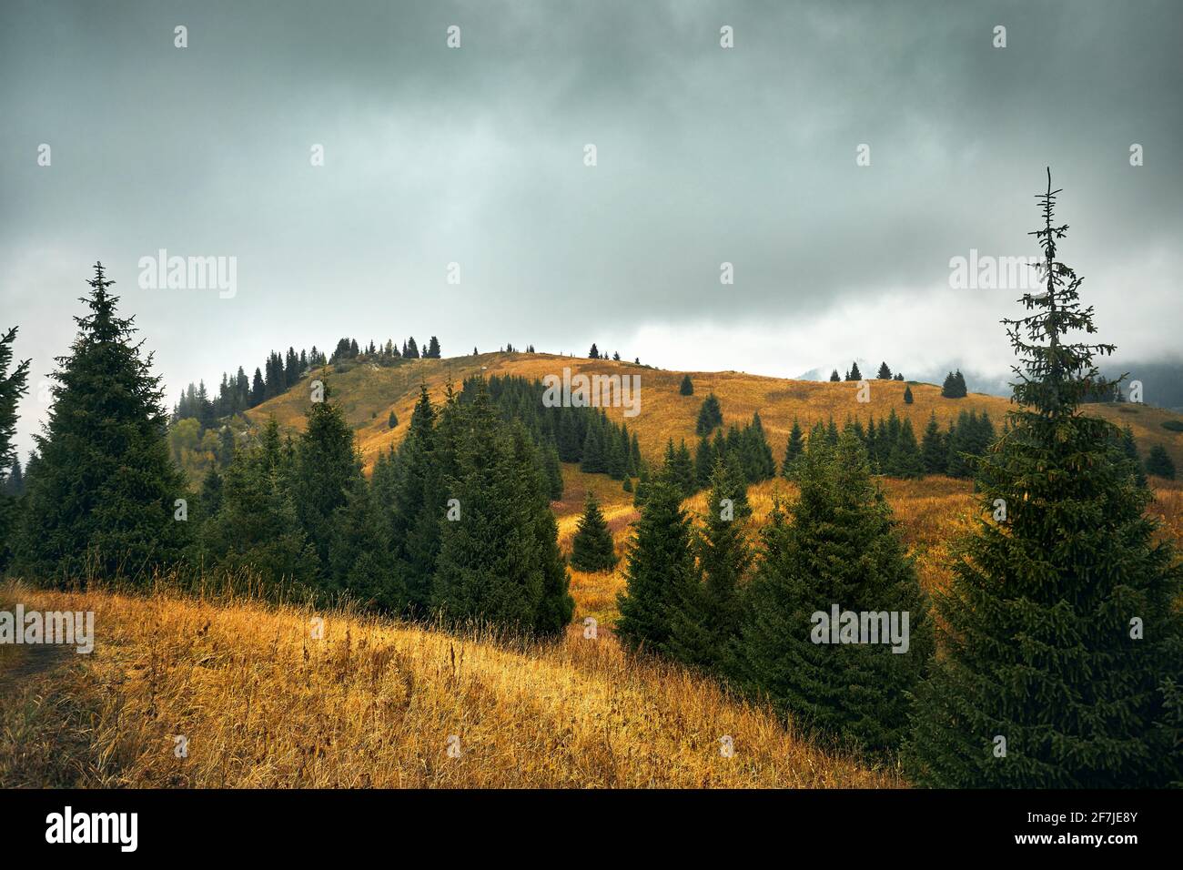 Scenario autunnale della foresta nella valle di montagna vicino Almaty, Kazakistan Foto Stock