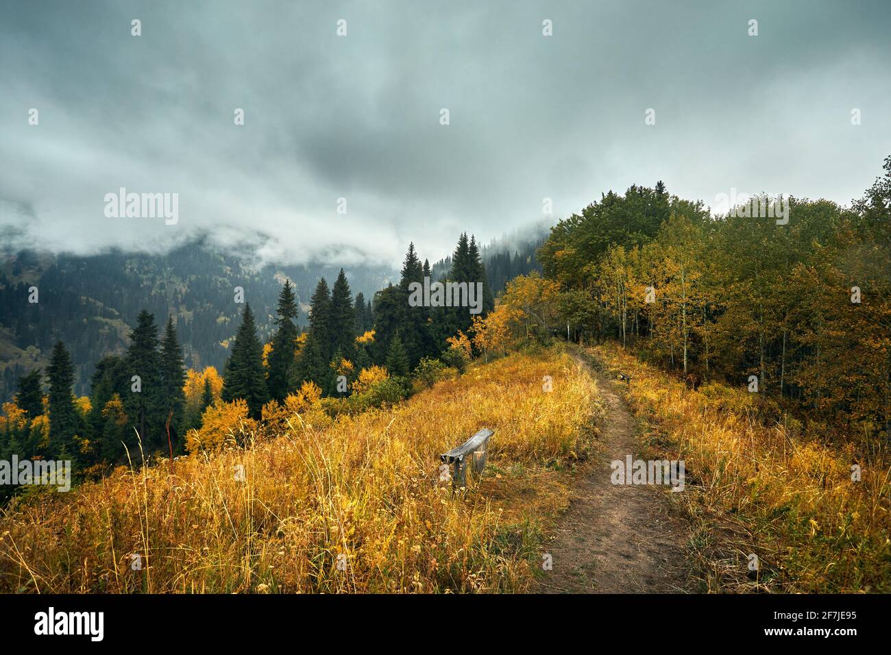 Scenario autunnale della foresta nella valle di montagna vicino Almaty, Kazakistan Foto Stock