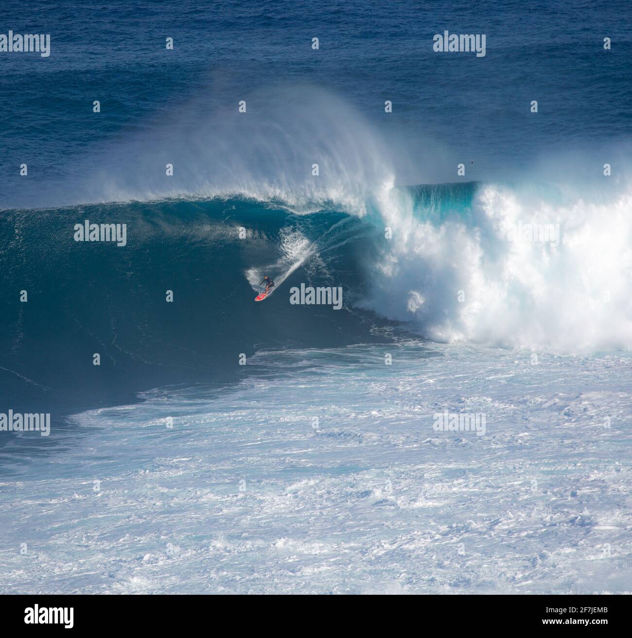 Un surfista cavalca un'onda gigante durante la pausa surf Conosciuto come Jaws o Peahi sull'isola di Maui durante una delle ultime grandi ondate del 2020 Foto Stock