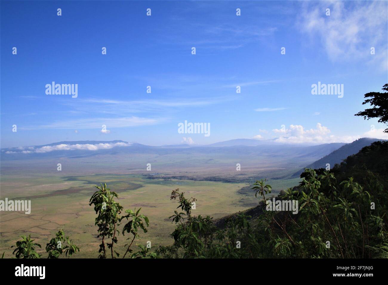 Il cratere di Ngorongoro in Tanzania, Africa, è una delle "7 meraviglie del mondo". A causa della fauna selvatica´s anche chiamato 'il Giardino dell'Eden'. Foto Stock