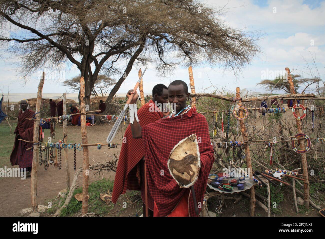 Orgoglioso guerriero Masai che mostra la sua lancia mortale e il suo scudo in Tanzania, Africa. Foto Stock