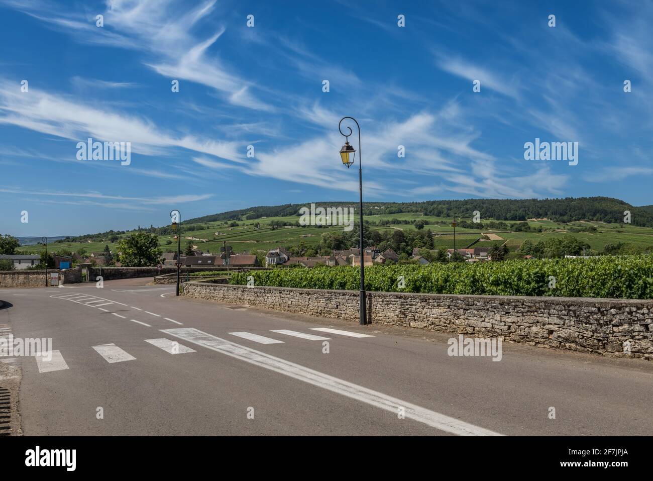 Vista sulla strada e vigneto in Borgogna Bourgogne casa di pinot nero e chardonnay in estate giorno con cielo blu. Costa d'Or Foto Stock