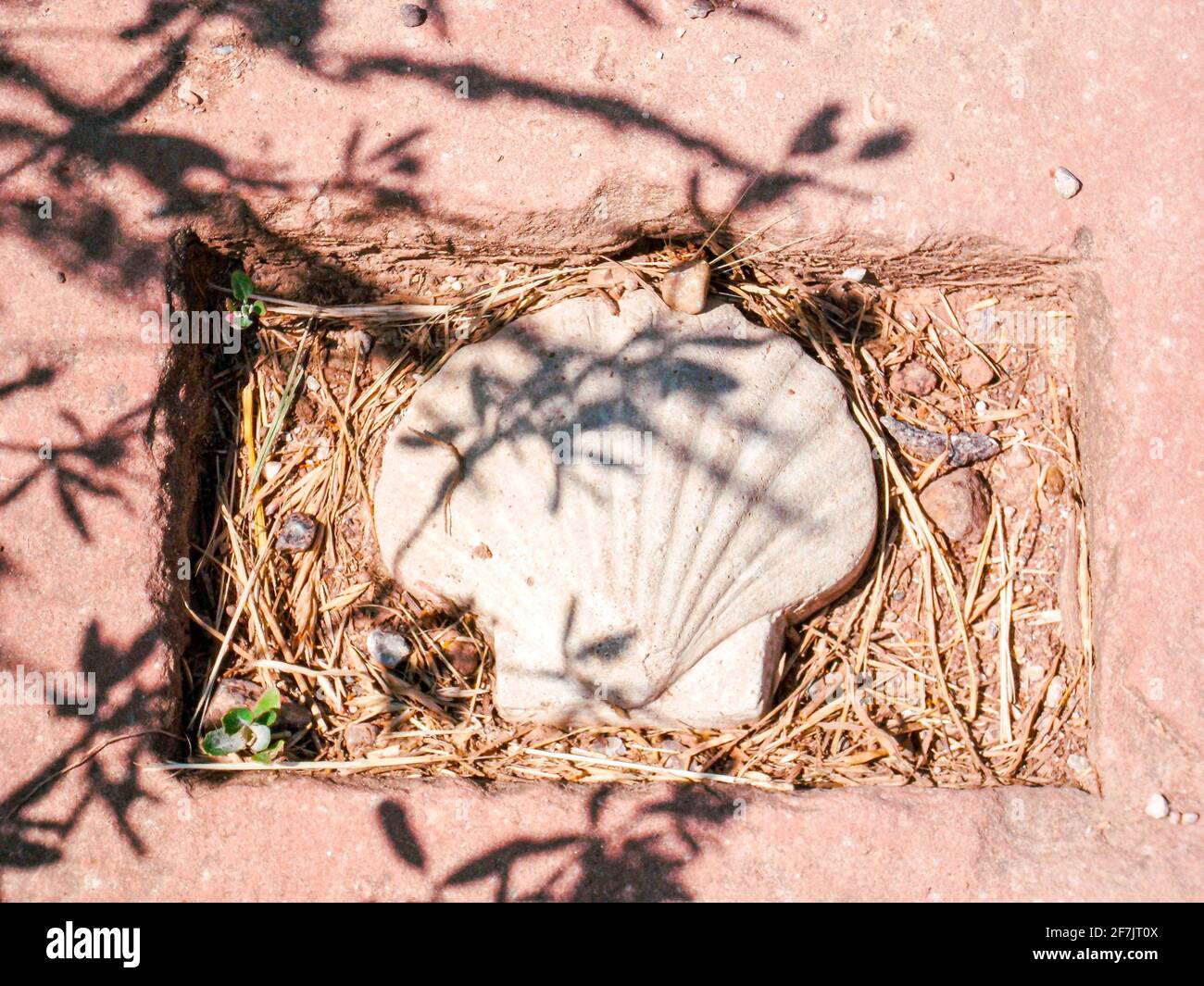 Scaloppino percorso di pellegrinaggio segno indicatore percorso guida incorporato nel bianco terra in rosa passerella ombra estate sole St. James Way escursione pellegrinaggio percorso Foto Stock