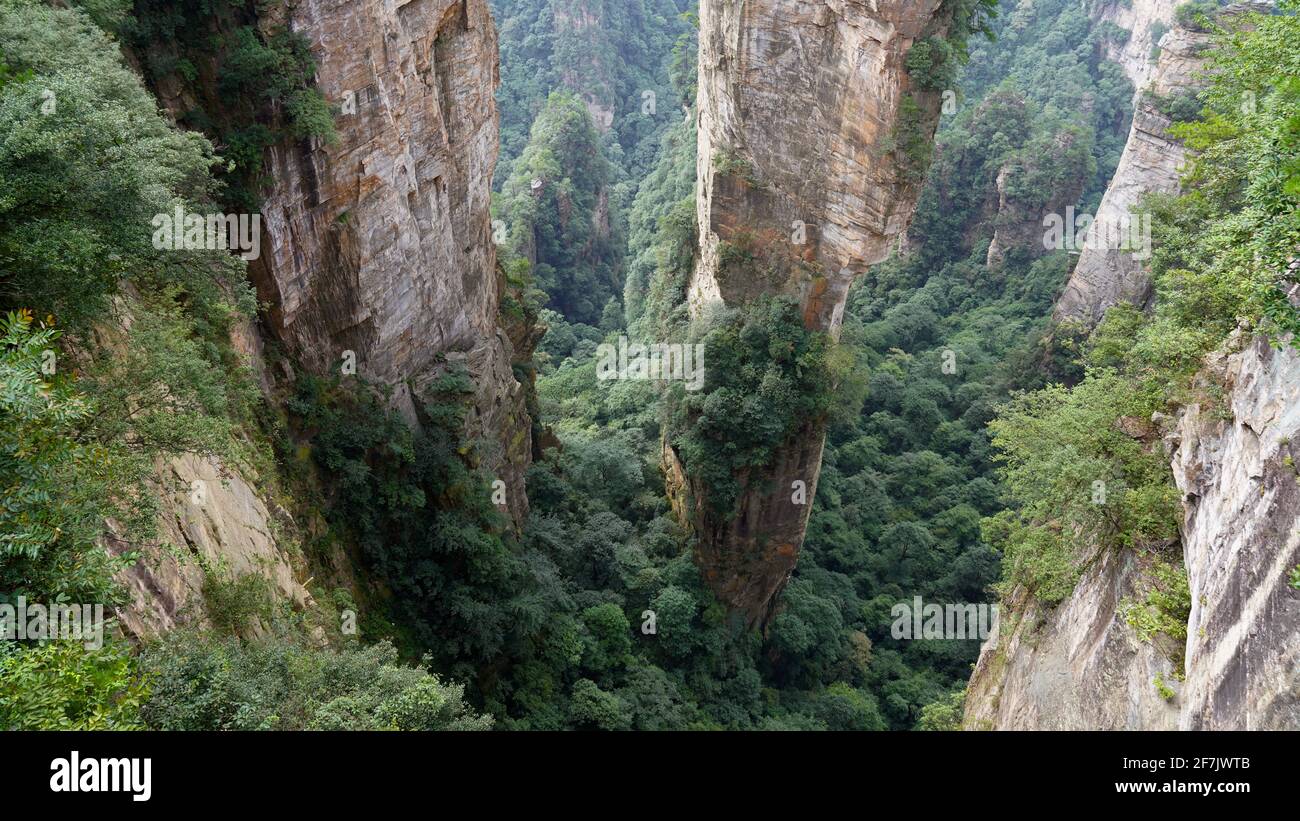 I mountins verdi con la geomorgia della valle del fiume nel parco nazionale della foresta di Zhangjiajie assomiglia al paradiso sulla terra. Foto Stock