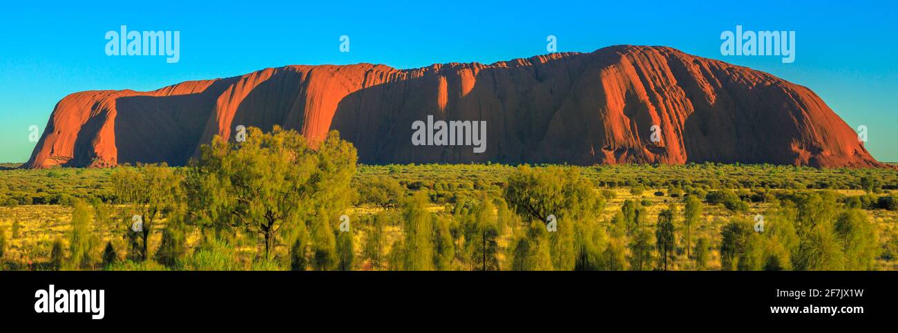 Panorama banner di enorme monolito Ayers Rock dall'area di osservazione dell'alba di Talinguru Nyakunytjaku nel Parco Nazionale di Uluru-Kata Tjuta, Australia, Nord Foto Stock