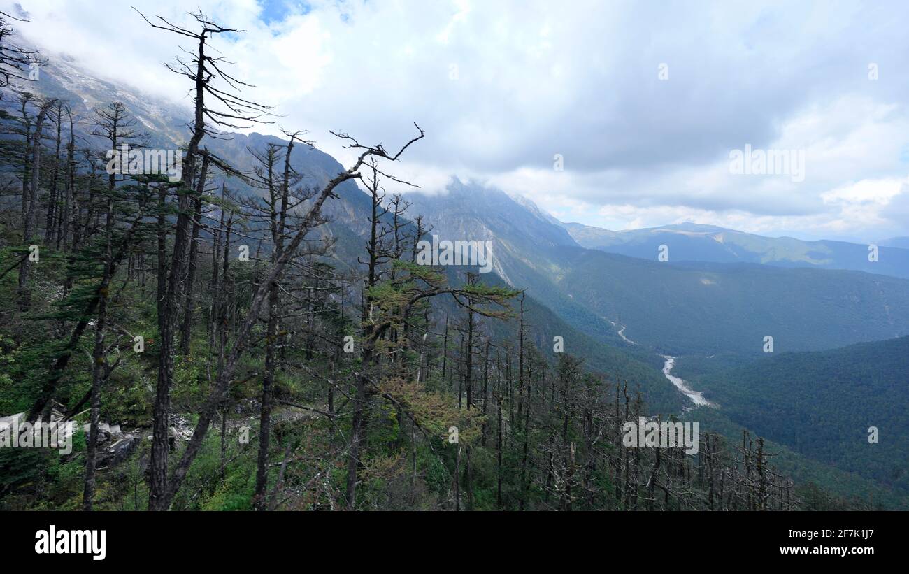 La valle con le montagne a Yulong, Lijiang, Cina, alberi nelle vicinanze con rami nudi e fiume lontano. Foto Stock