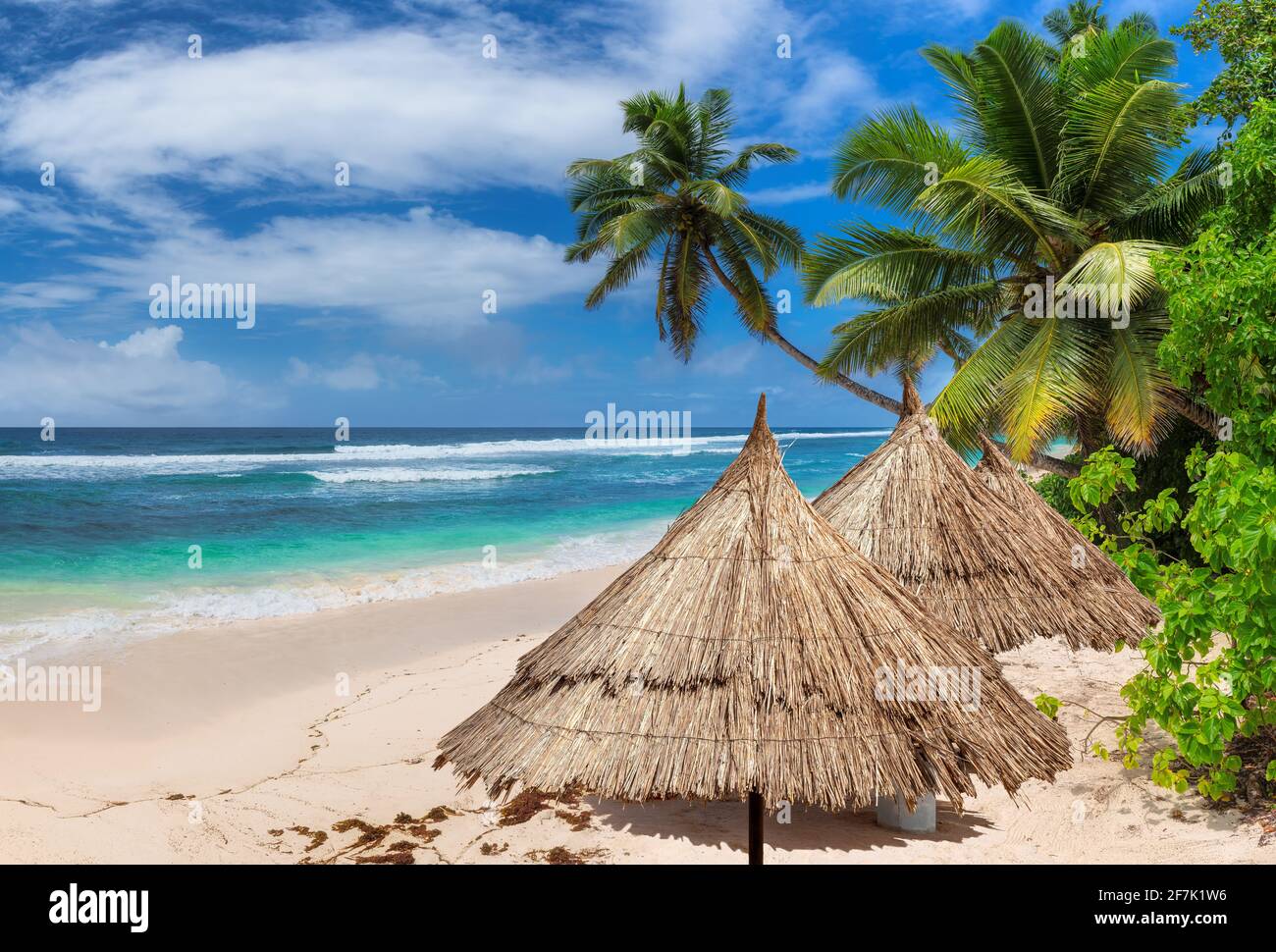 Tropical Paradise Sunny Beach con palme e mare turchese in isola esotica Foto Stock
