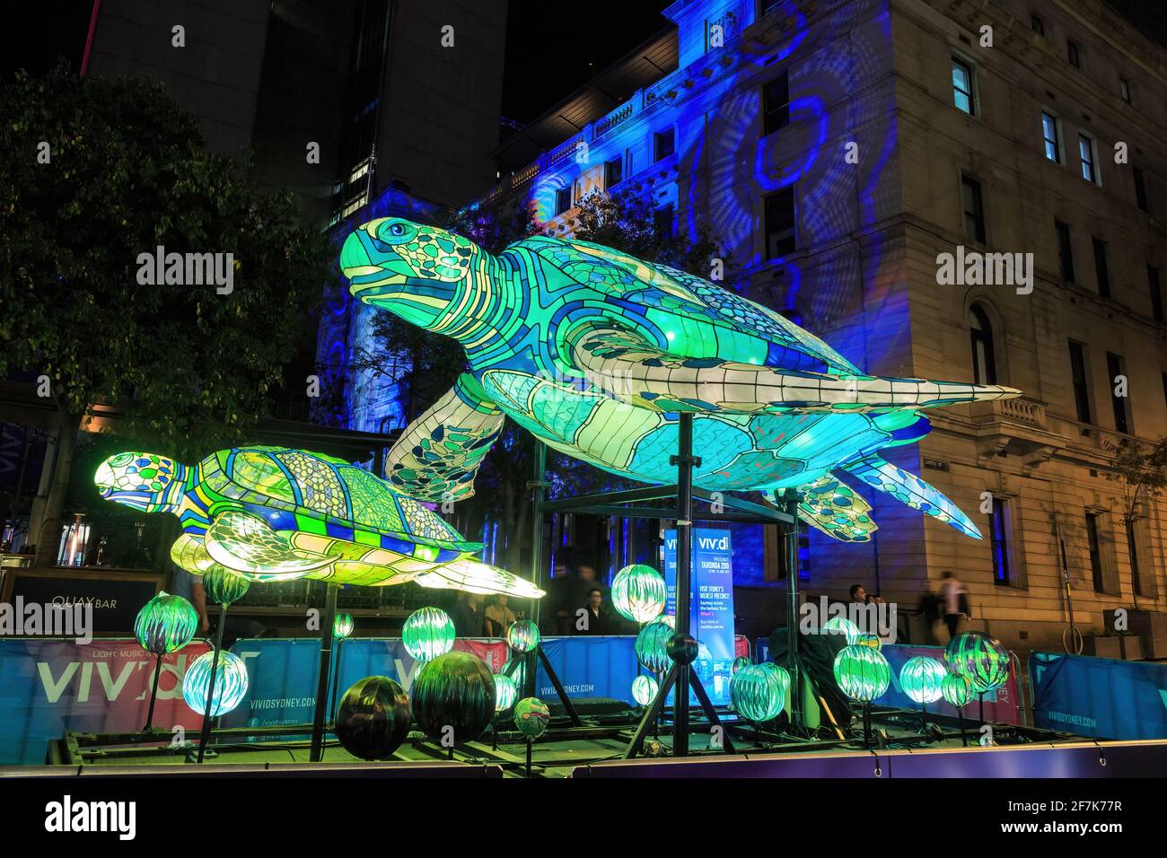 Sculture di luce delle tartarughe marine a Sydney, Australia, durante l'annuale festival "Vivid Sydney" Foto Stock