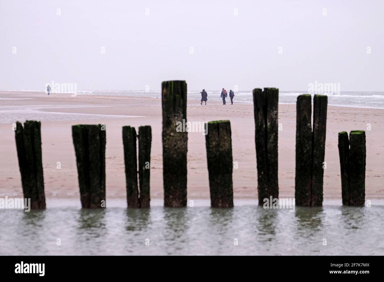 NLD, Niederlande, Nordholland, Bergen aan Zee, 26.12.2018: Strandspaziergaenger am Strand von Bergen aan Zee Foto Stock