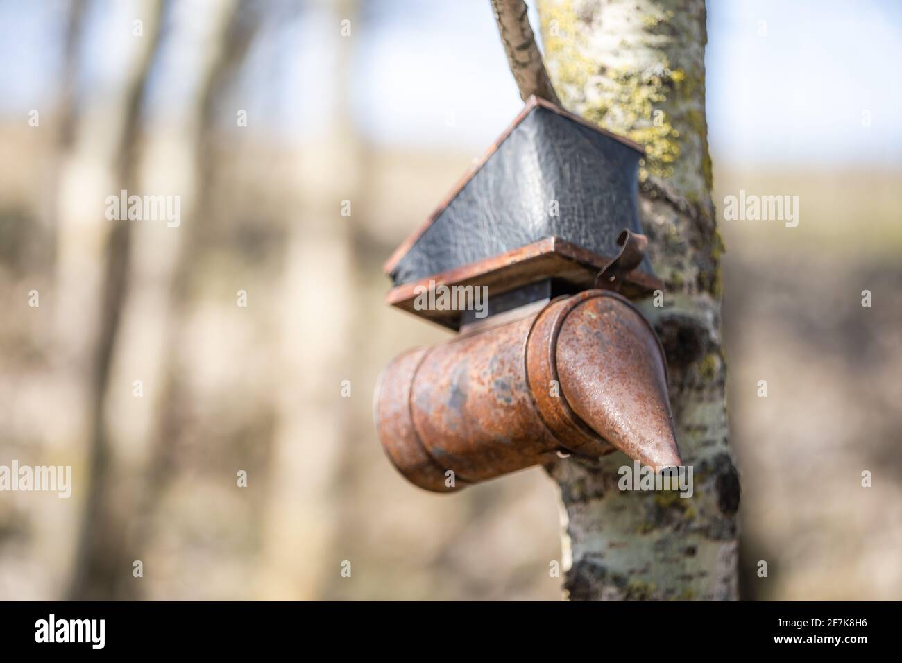 Il vecchio fumatore dell'apicoltore è sull'alveare sull'apiario. Emette fumo sicuro dalla combustione di trucioli di legno eco-friendly per spaventare le api. Per Foto Stock