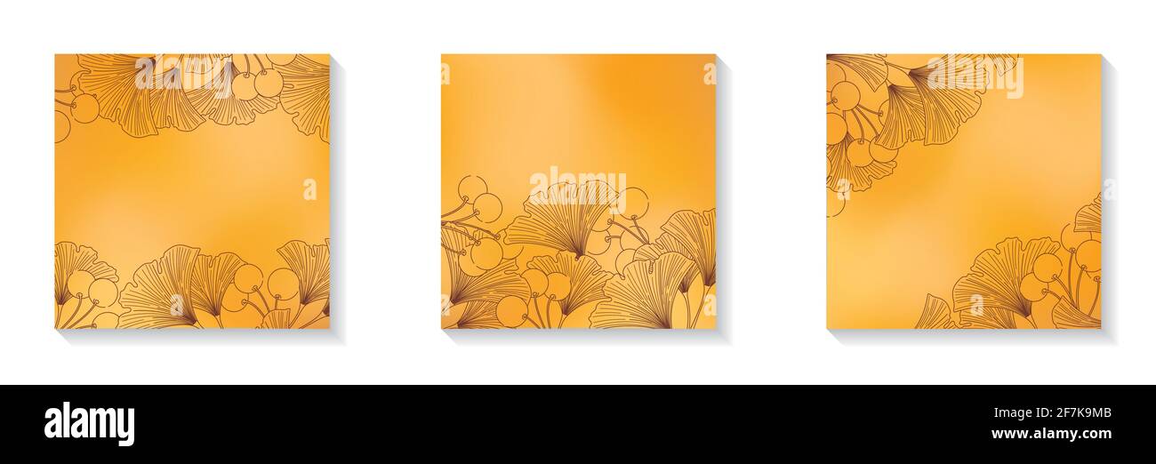 Set di cornici arancioni sfocate quadrate con spazio di copia per i social media postano foglie di ginkgo e frutti di bosco line art Illustrazione Vettoriale