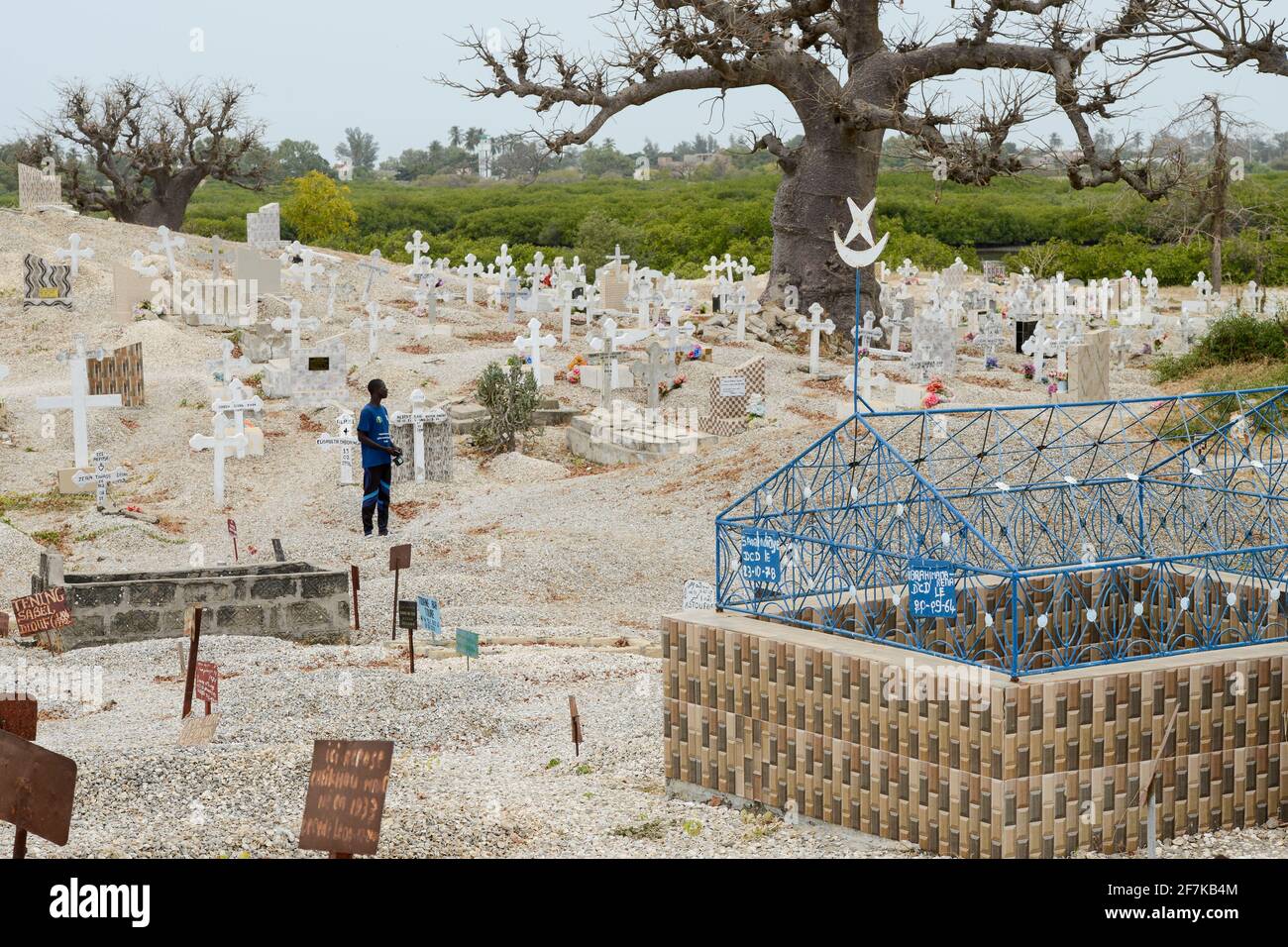 SENEGAL, isola di Fadiouth, cimitero misto con tombe per musulmani e cristiani, Baobab albero Foto Stock