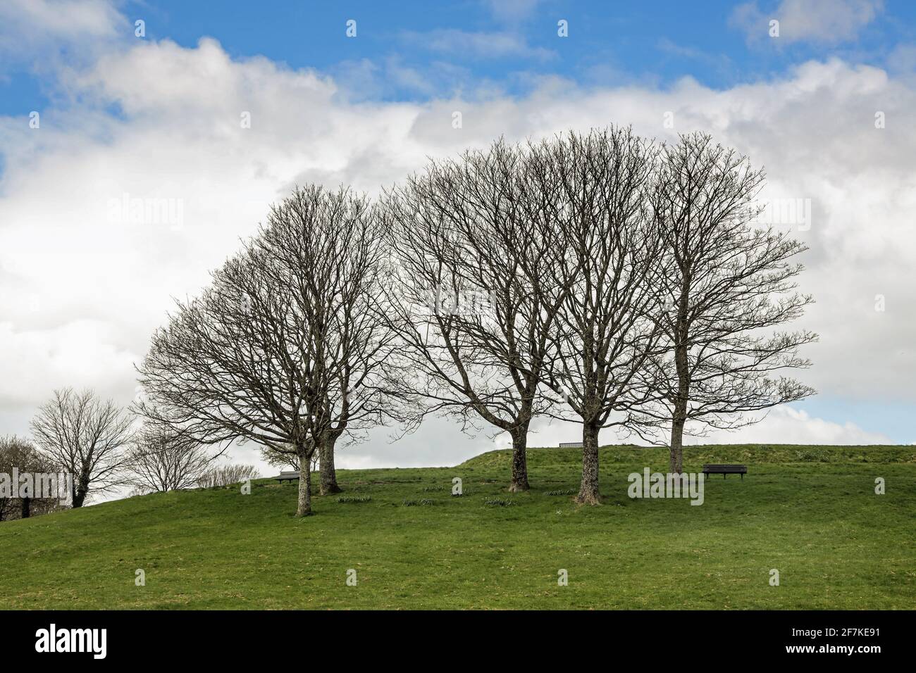 Il Mount Pleasant Redoubt o il Blockhouse Park, Stoke, Plymouth, desertato in un primo giorno di primavera. Foto Stock