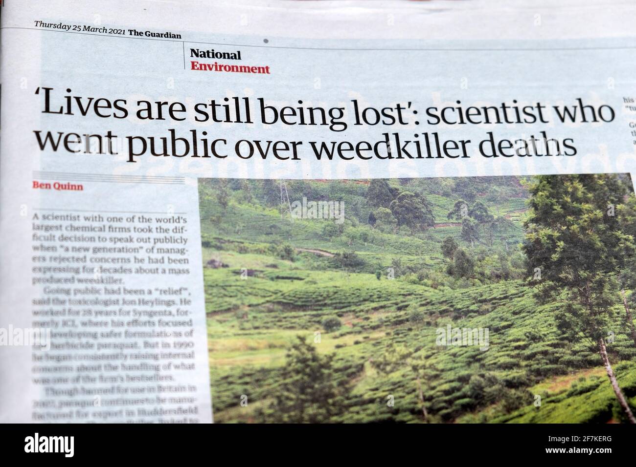 'Le vite sono ancora perdute: Scienziato che è andato pubblico sopra morti di weedkiller' titolo del giornale all'interno dell'articolo della pagina in Guardian 25 marzo 2021 UK Foto Stock