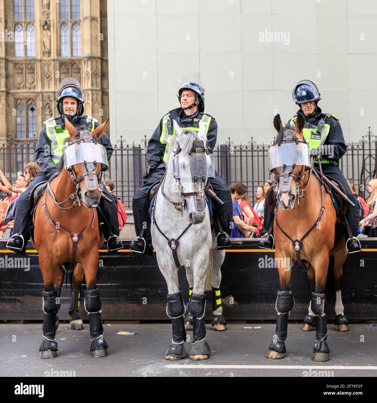 La polizia di Metropolitain, montata sulla polizia, ha montato i funzionari di filiale in equipaggiamento di rivolta sui cavalli ad una protesta a Westminster, Londra, Inghilterra Foto Stock