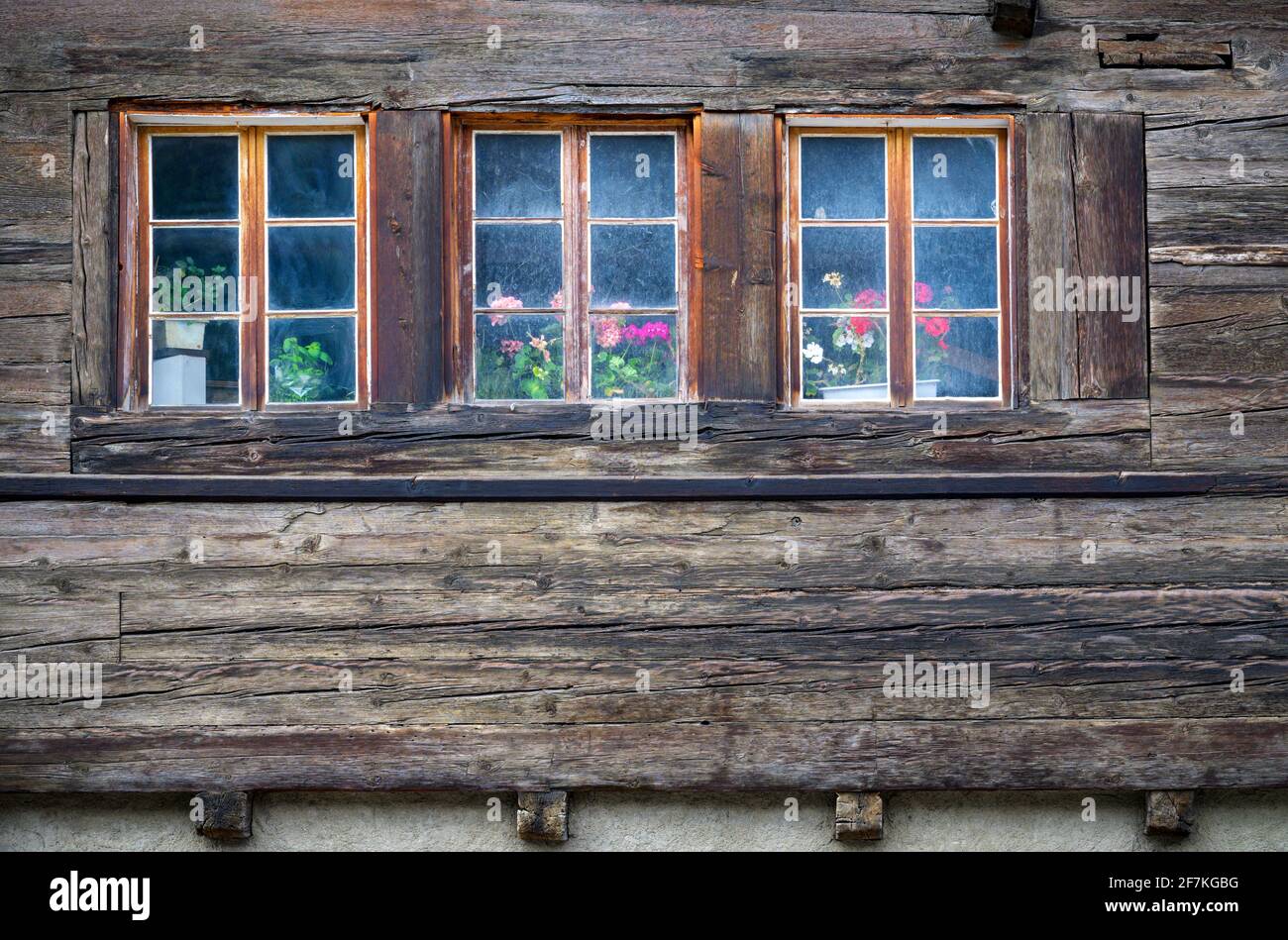 Vecchie finestre rustiche con vasi di fiori su una rustica casa in legno alpino, Oberwald, Svizzera. Foto Stock