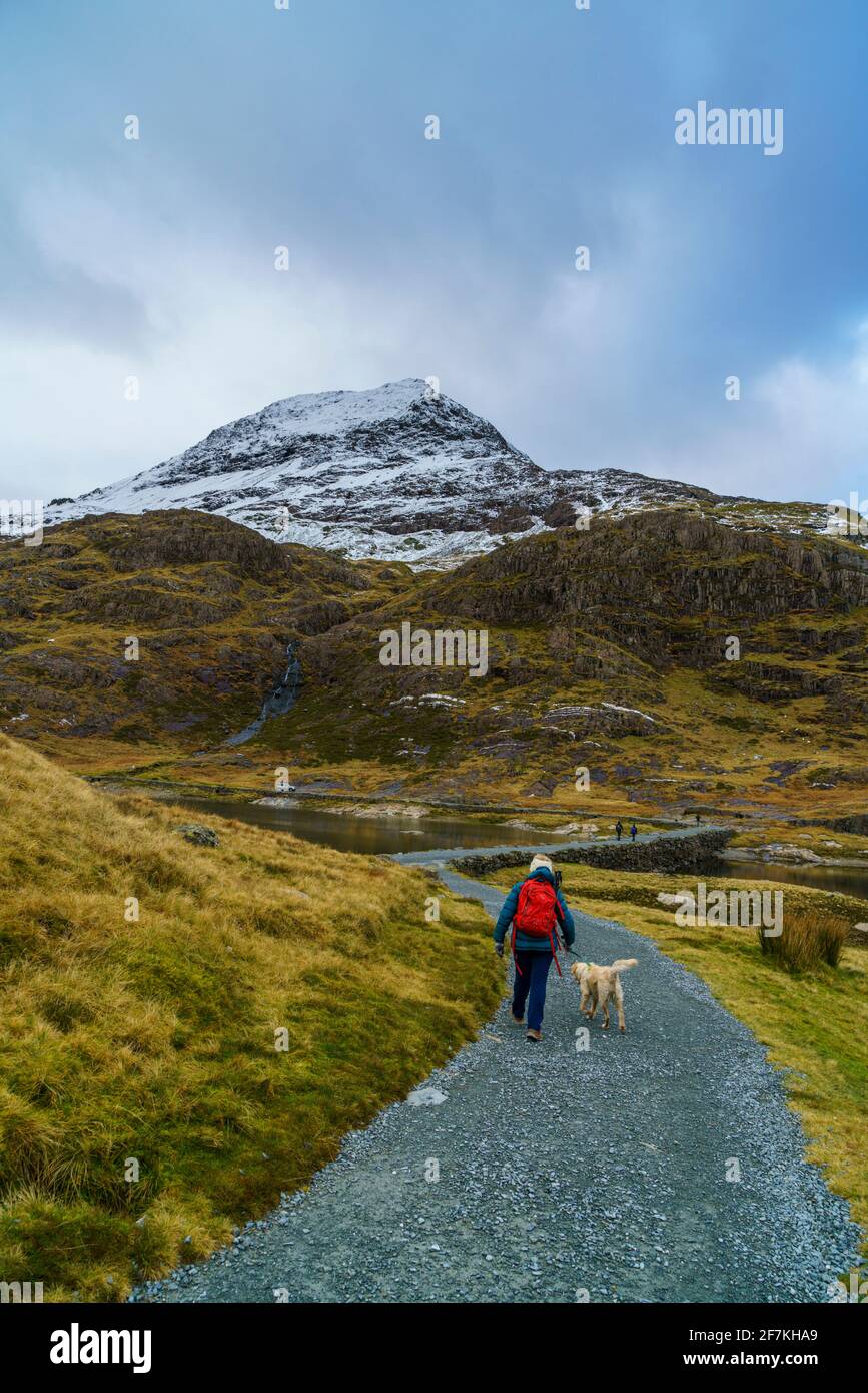 Una donna che cammina il suo cane su un sentiero verso la cima di Snowdon al Parco Nazionale di Snowdonia nel Galles del Nord, Regno Unito Foto Stock