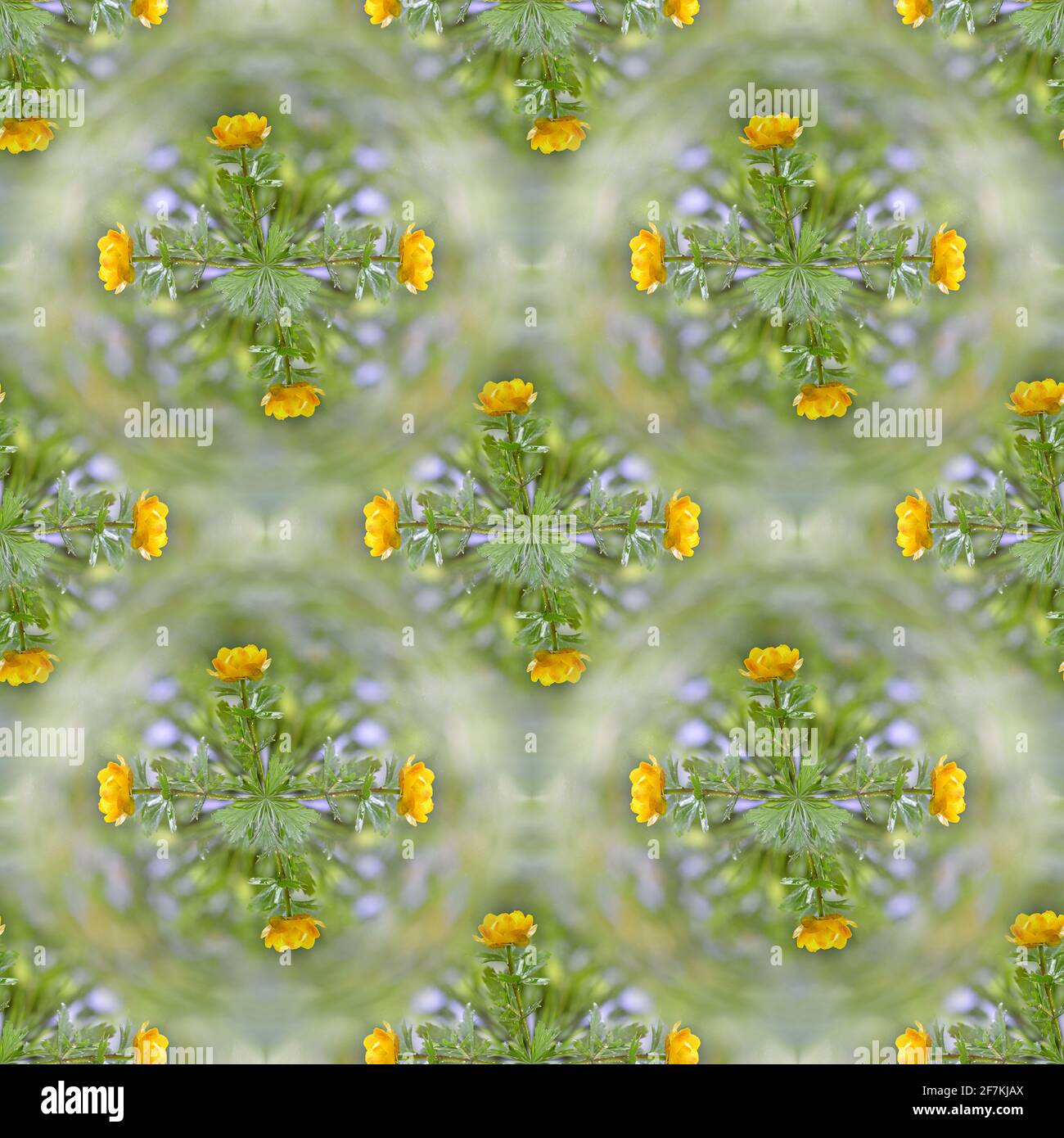 Sfondo quadrato senza cuciture con colori gialli primavera costume da bagno. Messa a fuoco selettiva Foto Stock