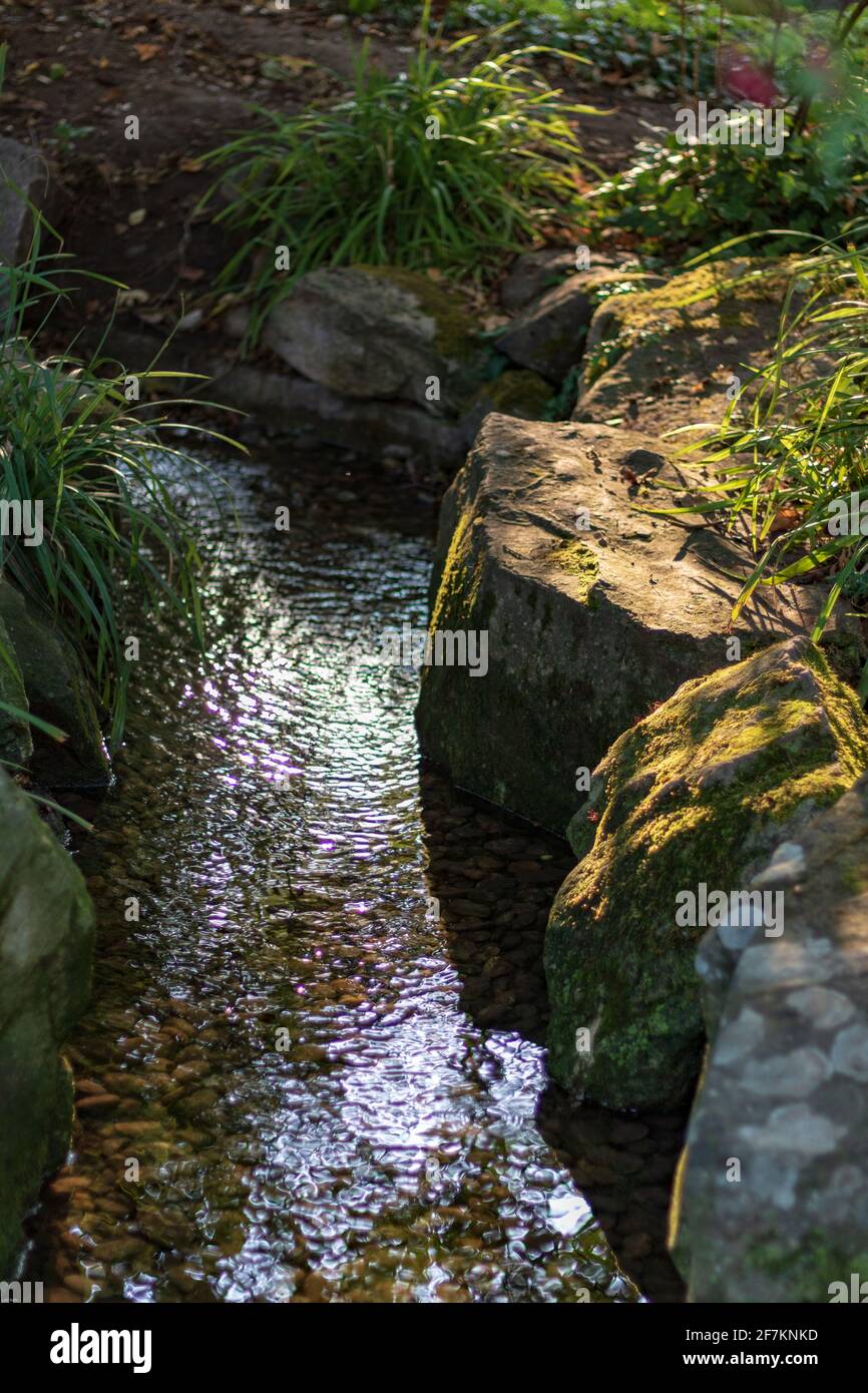 Acqua fluente tra rocce in foresta con luce solare Foto Stock
