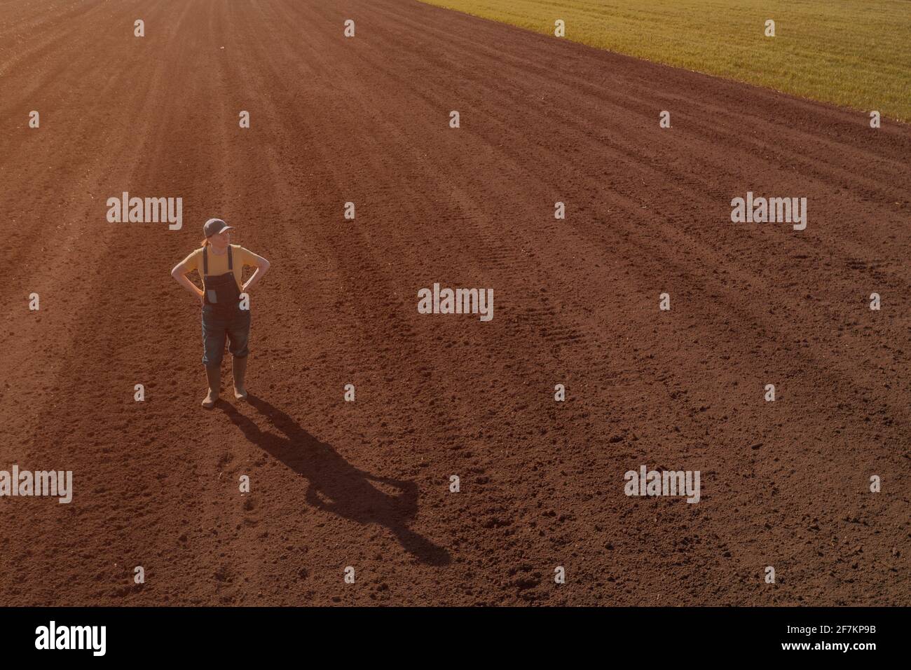 Soddisfatta agricoltore in piedi in campo arato e guardando in lontananza, drone fotografia ad alto angolo di vista, copia spazio incluso Foto Stock