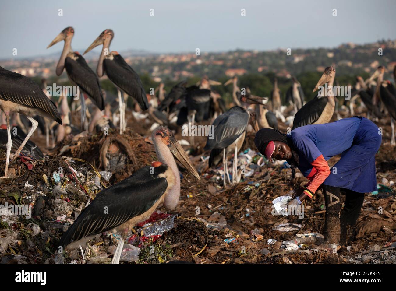KAMPALA, UGANDA: Un lavoratore vana attraverso le tonnellate di rifiuti che vengono gettati in discarica. IMMAGINI che mostrano i lavoratori ugandesi esausti che vagliano il thro Foto Stock