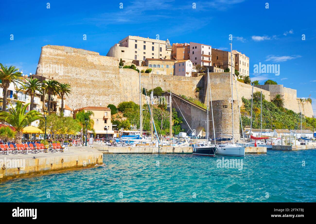 Calvi, vista sulla Cittadella e Qaui Landry, Balagne, Costa Ovest, Isola Corsica, Francia Foto Stock