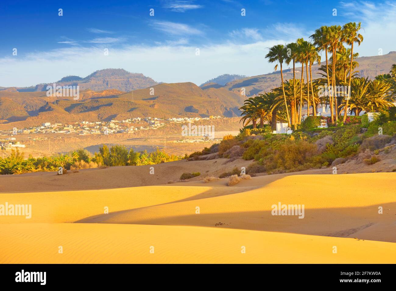 Maspalomas dune di sabbia, Gran Canaria, Spagna Foto Stock