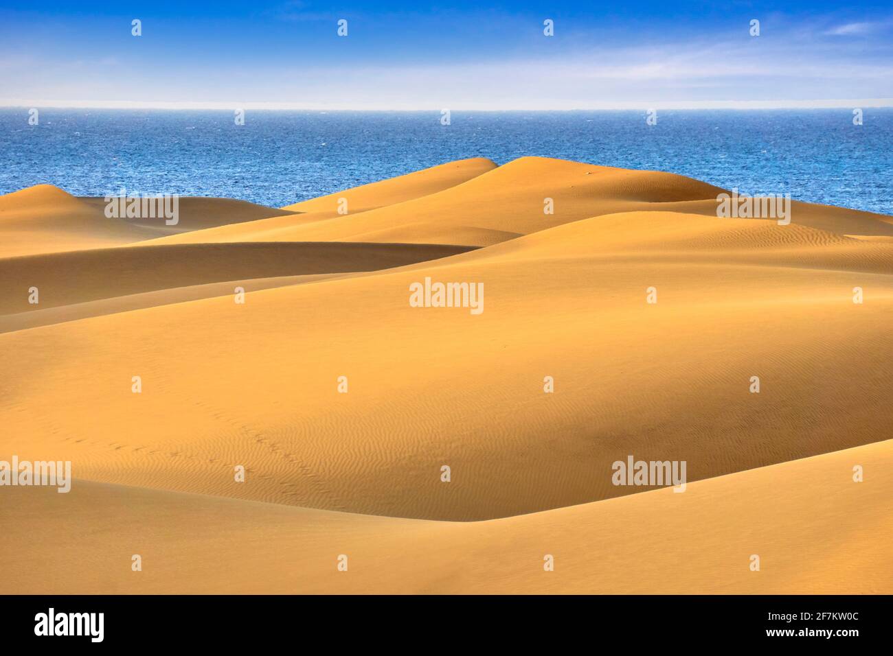 Maspalomas dune di sabbia, Gran Canaria, Spagna Foto Stock