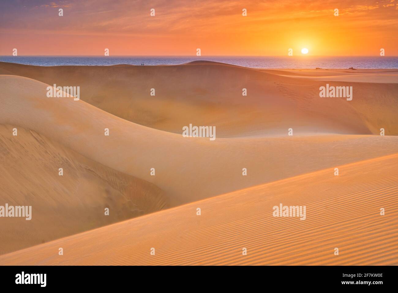 Maspalomas dune di sabbia, Gran Canaria, Spagna Foto Stock