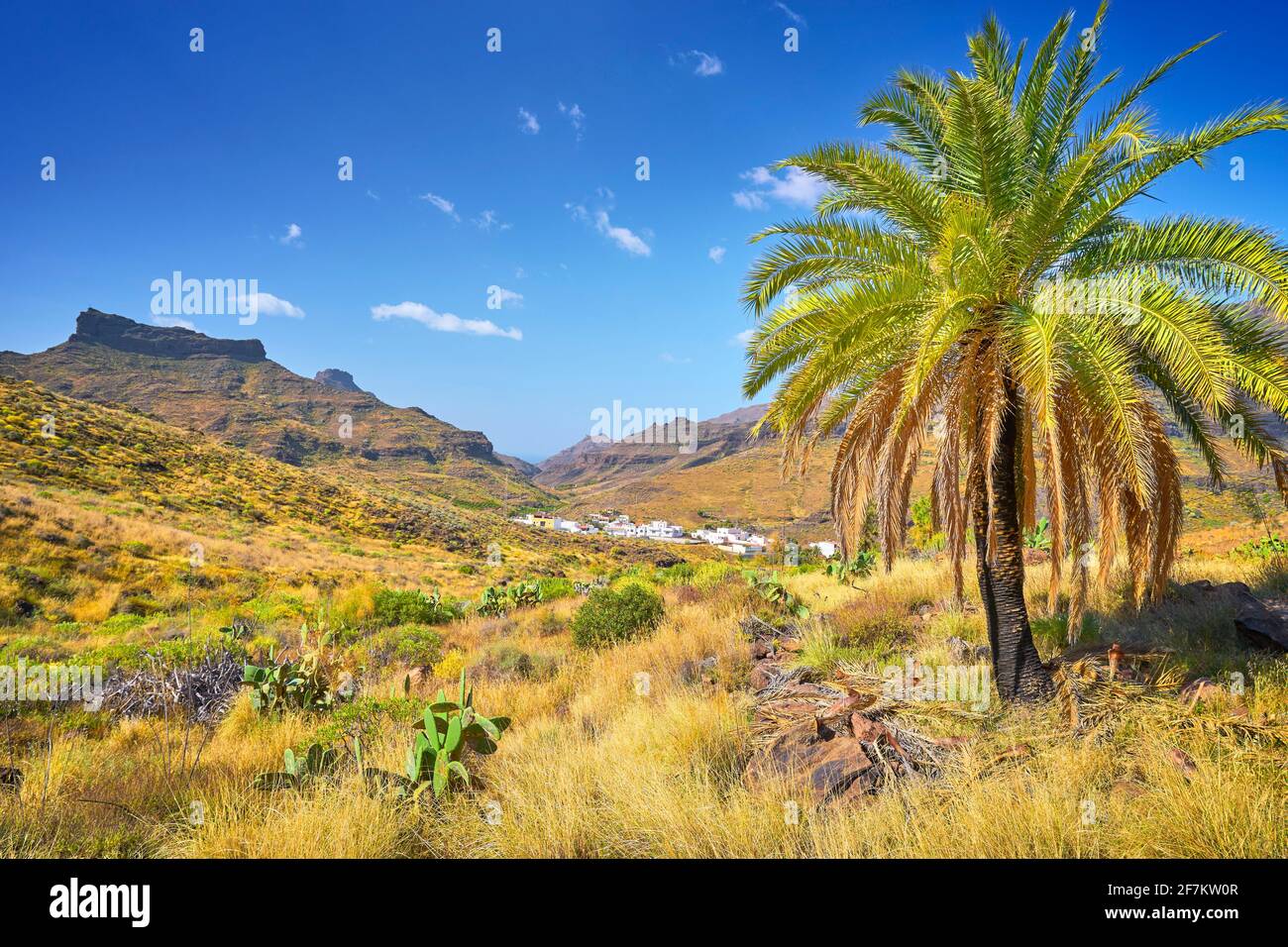 Paesaggio delle Canarie, Gran Canaria, Isole Canarie, Spagna Foto Stock