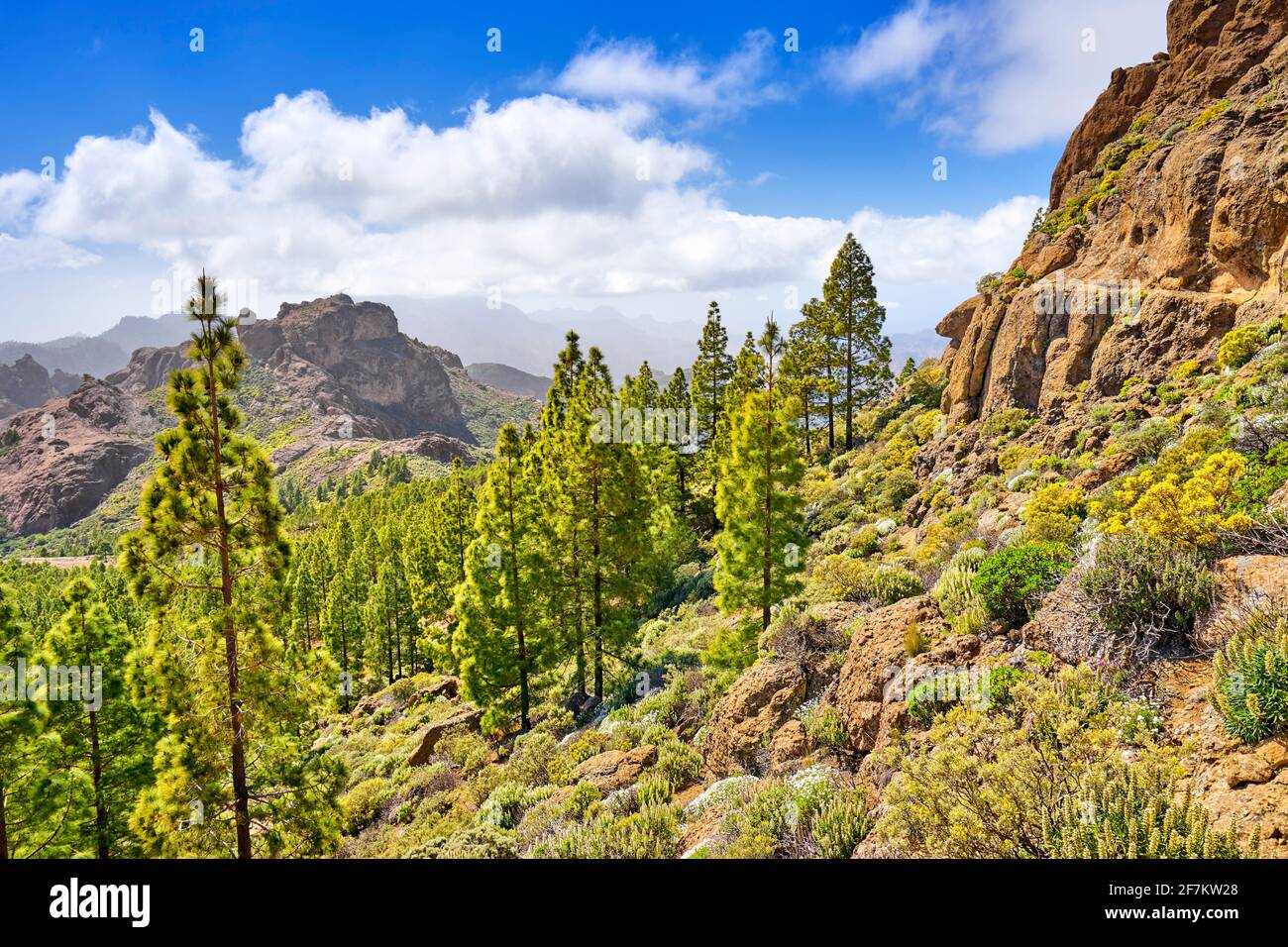 Gran Canaria paesaggio, Spagna Foto Stock