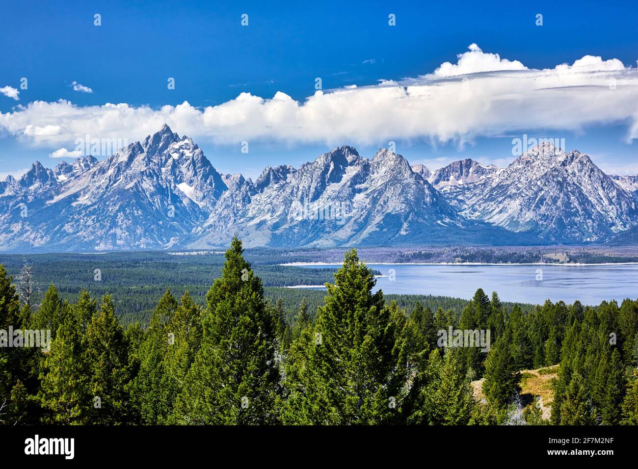 Parco nazionale di Grand Teton. Wyoming. Stati Uniti. Foto Stock