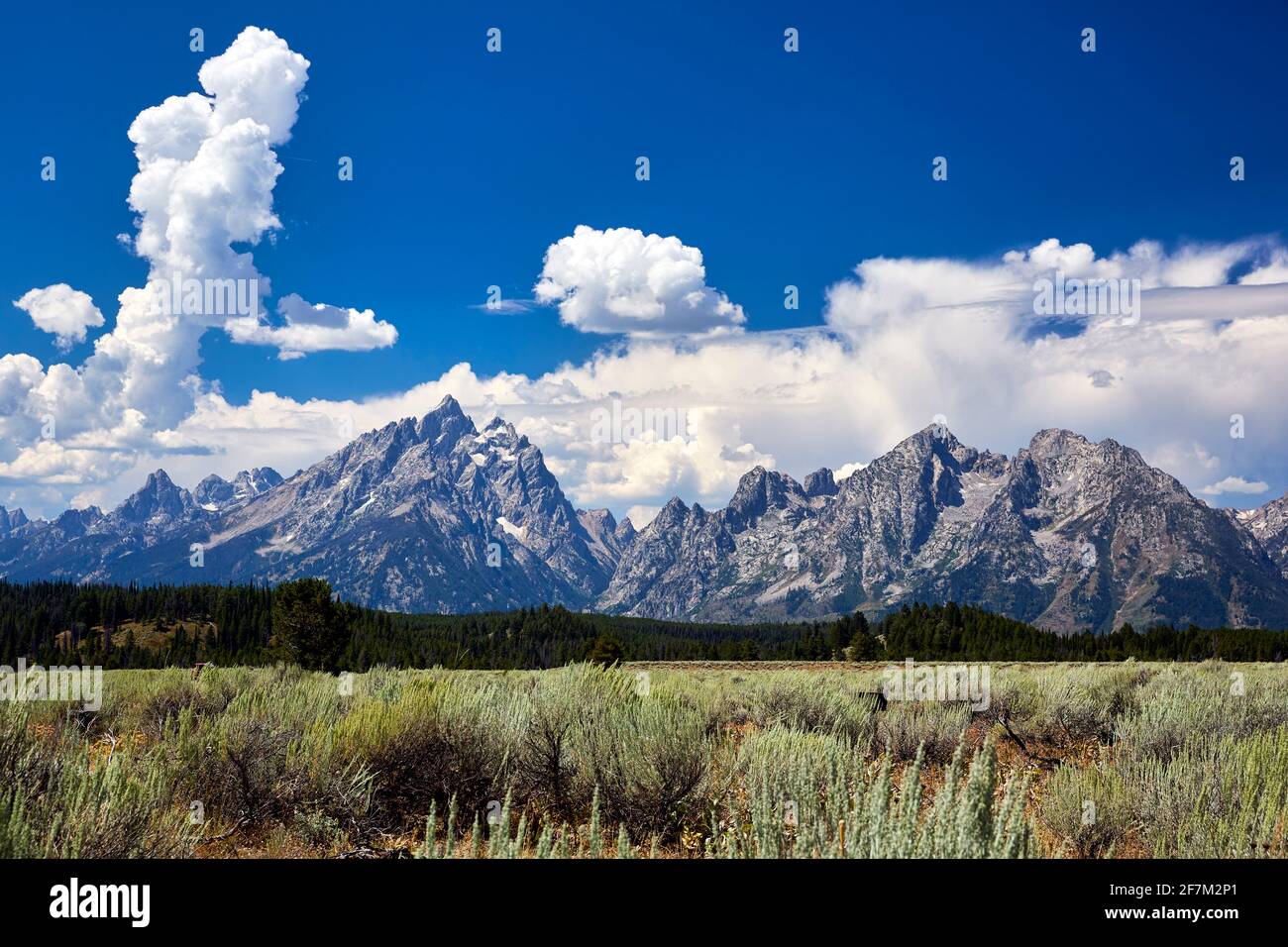 Parco nazionale di Grand Teton. Wyoming. Stati Uniti. Foto Stock