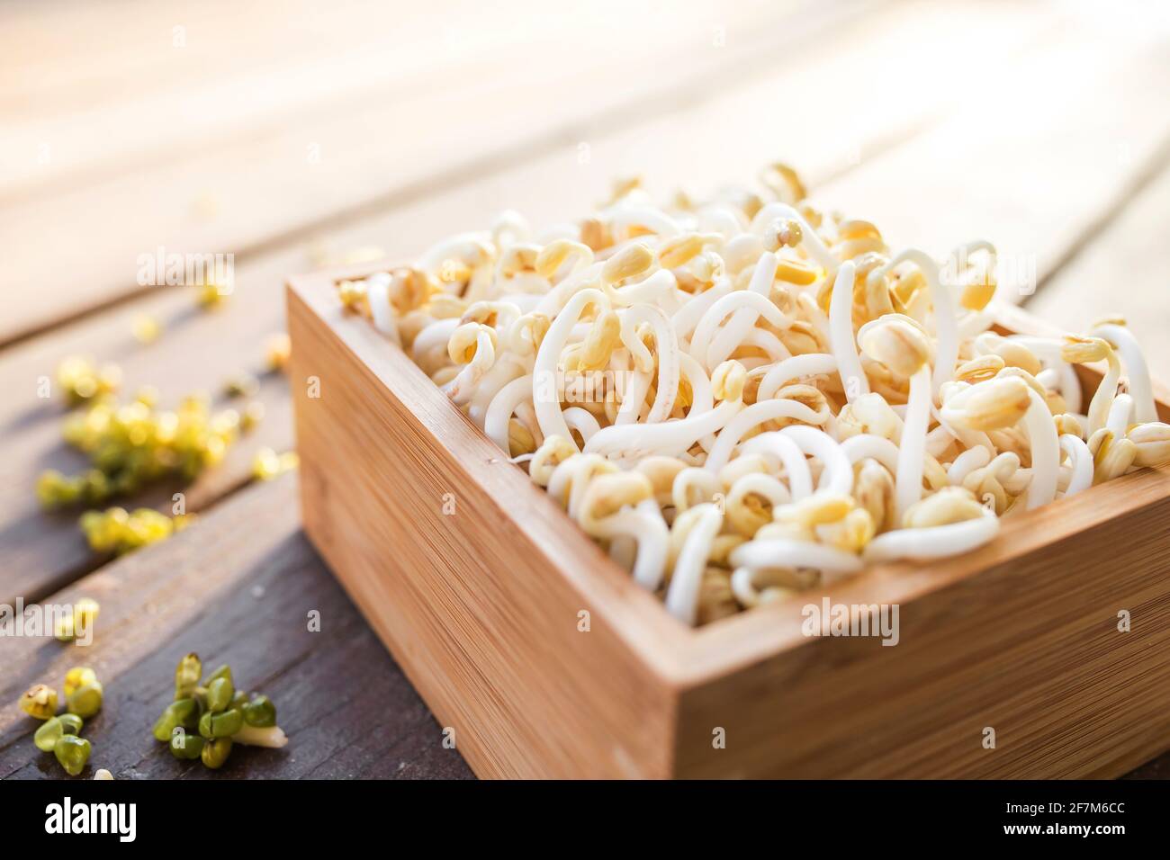 Germogli di fagioli Mung su vassoio di legno Foto Stock
