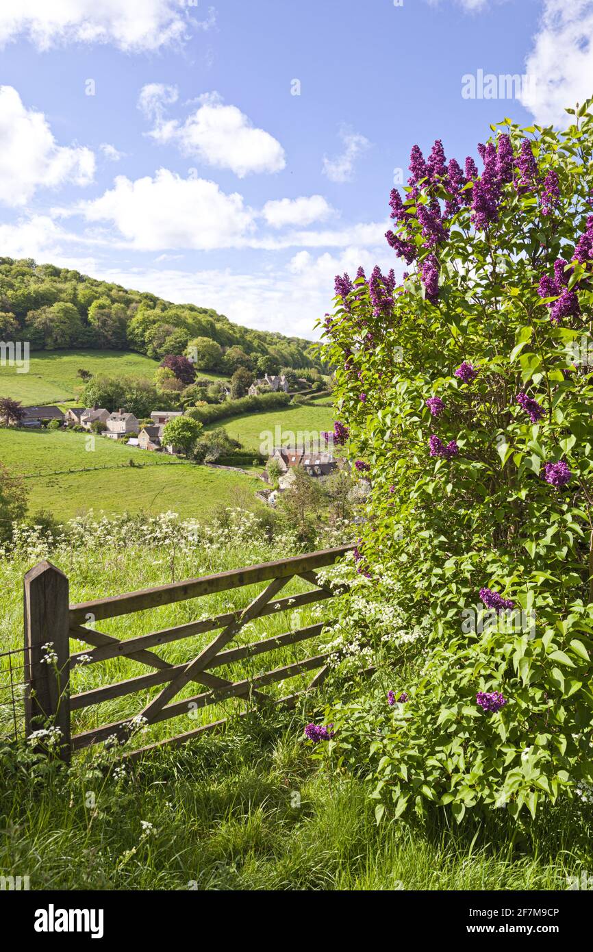 Guardando verso il Vatch da vicino al villaggio Cotswold di Slad, Gloucestershire UK Foto Stock