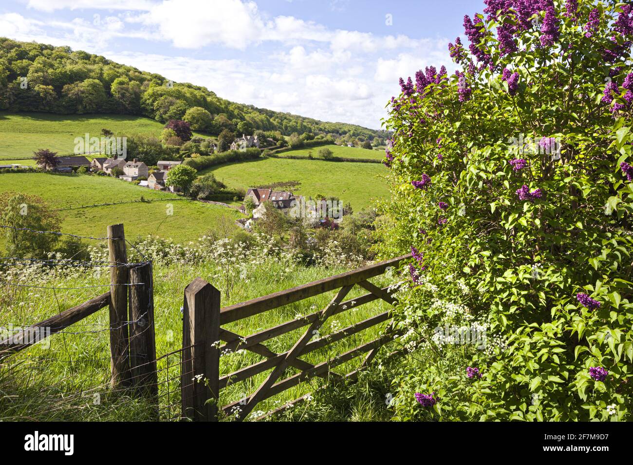 Guardando verso il Vatch da vicino al villaggio Cotswold di Slad, Gloucestershire UK Foto Stock