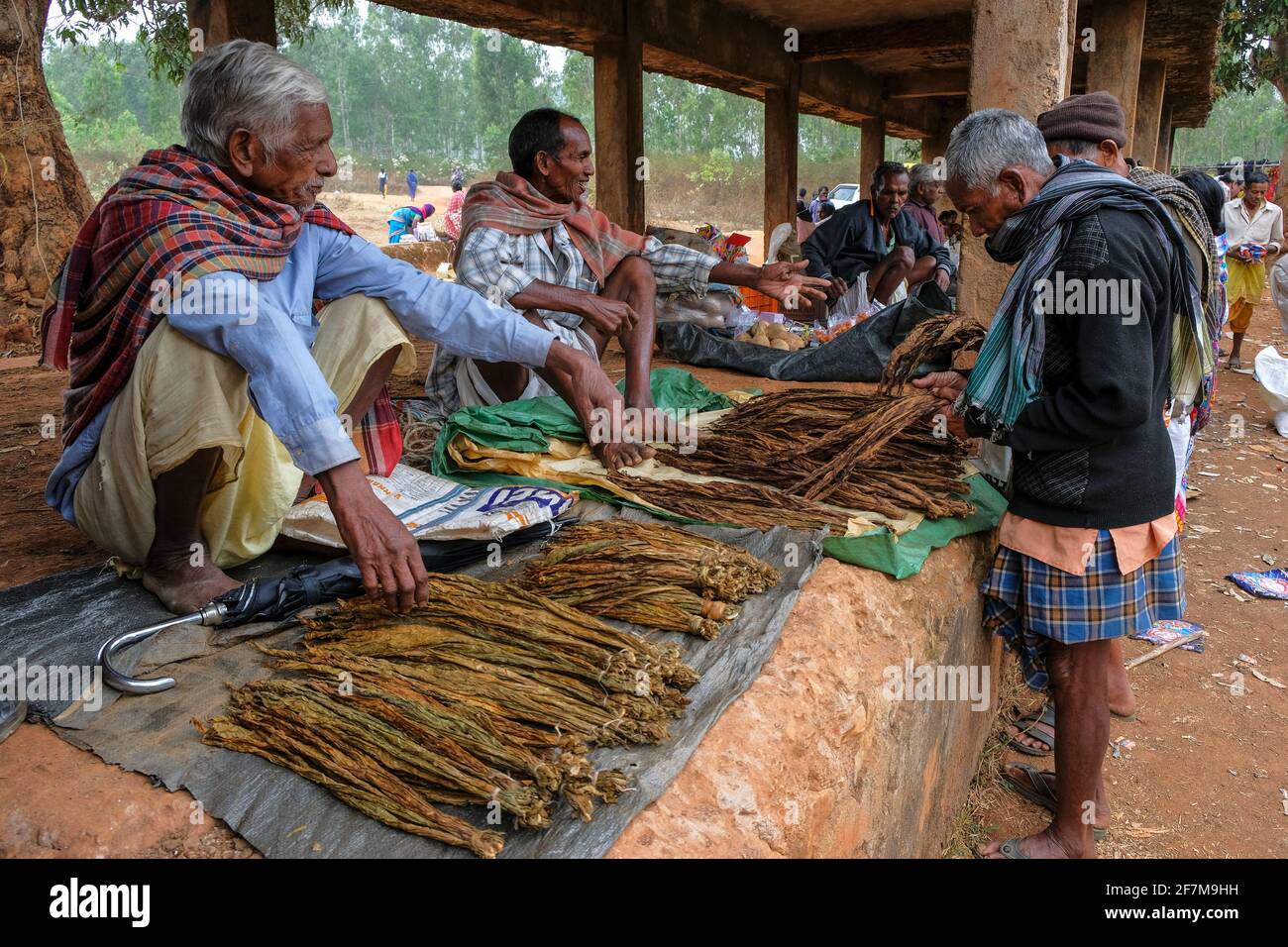 Laxmipur, India - Febbraio 2021: Uomini che vendono foglie di tabacco al mercato settimanale a Laxmipur il 20 febbraio 2021 a Odisha, India. Foto Stock