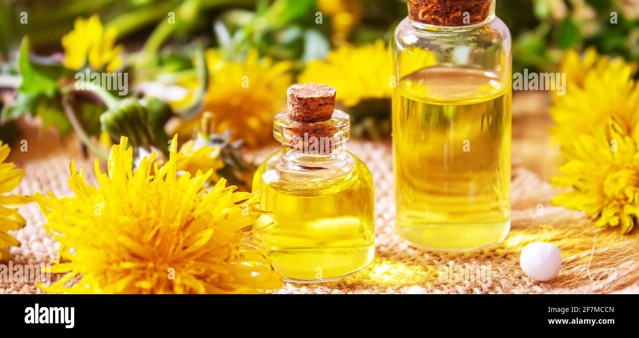 Estratto di dente di leone di Celandine in una bottiglia di littel, trattamento, medicina, tintura. Fuoco selettivo. Natura Foto Stock