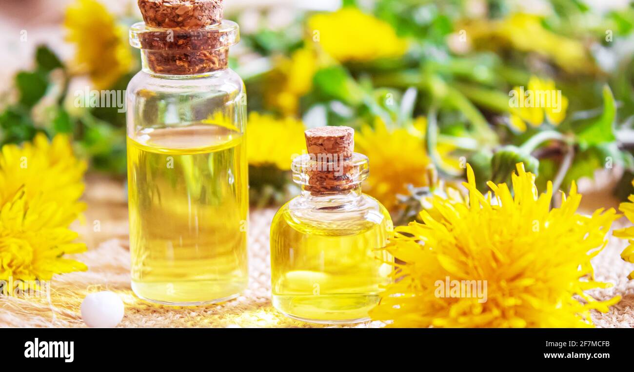 Estratto di dente di leone di Celandine in una bottiglia di littel, trattamento, medicina, tintura. Fuoco selettivo. Natura Foto Stock