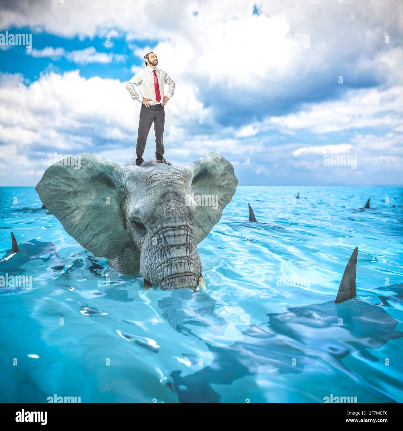 uomo d'affari in piedi su un elefante a piedi in acqua circondato da squali. Foto Stock