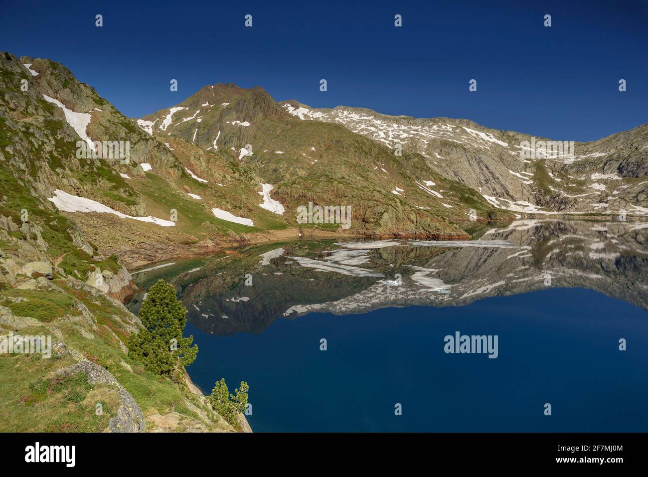 Lago di Certascan in estate, nei Pirenei catalani (Parco Naturale Alt Pirineu, Catalogna, Spagna, Pirenei) ESP: Estany de Certascan en verano (Pirineos) Foto Stock